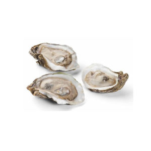 Half Shell Oyster from Sunrise Food Trading